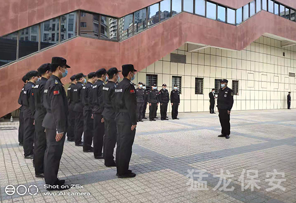 正規麻豆国情网站入口